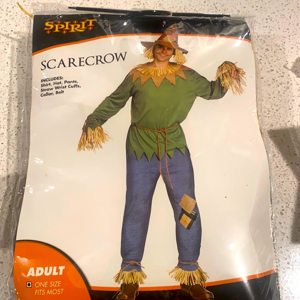 Scarecrow Costume